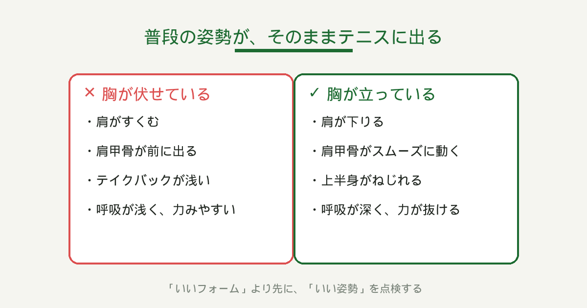 胸を立てる姿勢と伏せる姿勢の比較