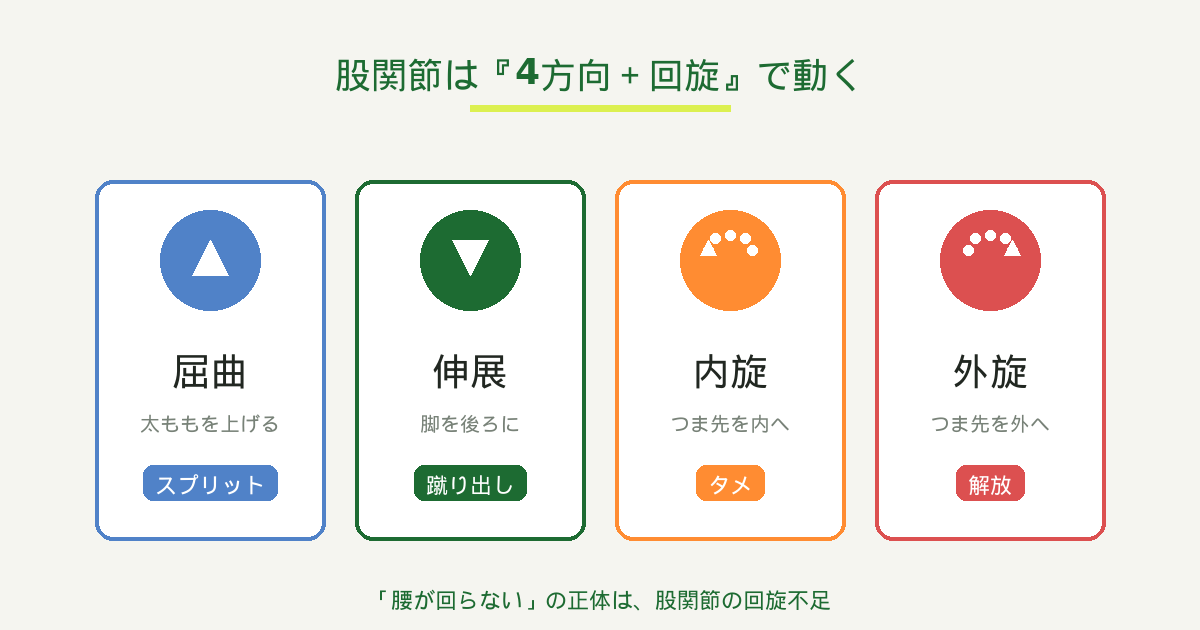 股関節の4方向の動き