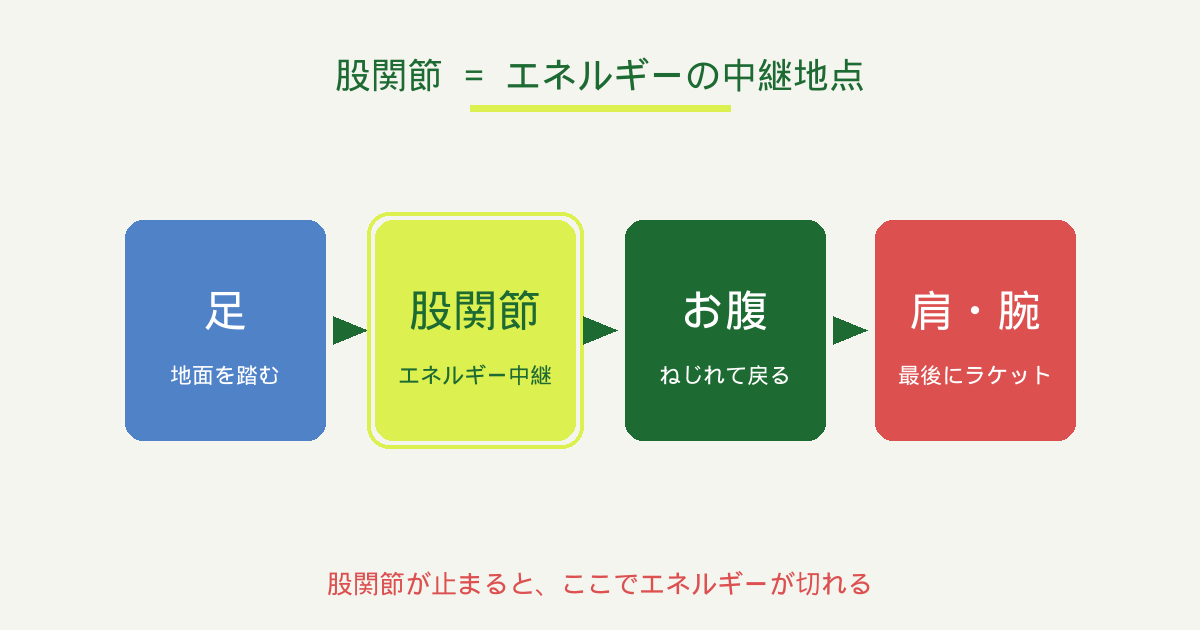 股関節がエネルギーの中継点