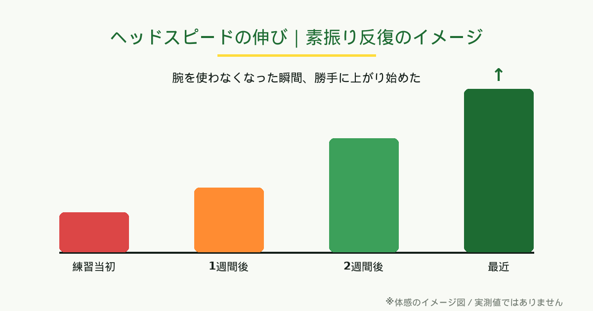 ヘッドスピードの伸び|素振り反復のイメージ